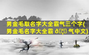 男金毛取名字大全霸气三个字(男金毛名字大全霸 🦊 气中文)
